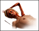 ANATOMY LESSON 2.0